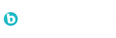 BitVille